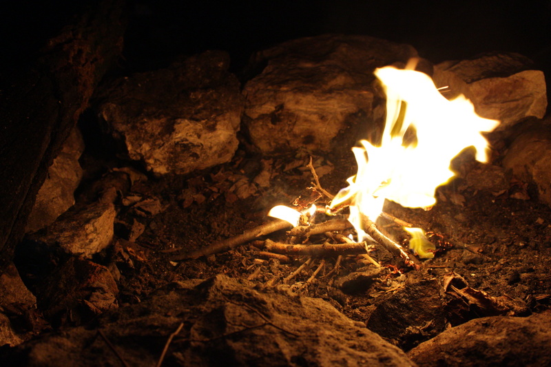wood, bonfire, hiking, flame, land, wood - material, outdoors, burning, outdoor, firewood, close-up, heat - temperature, glowing, smores, 5K, warm, fire pit