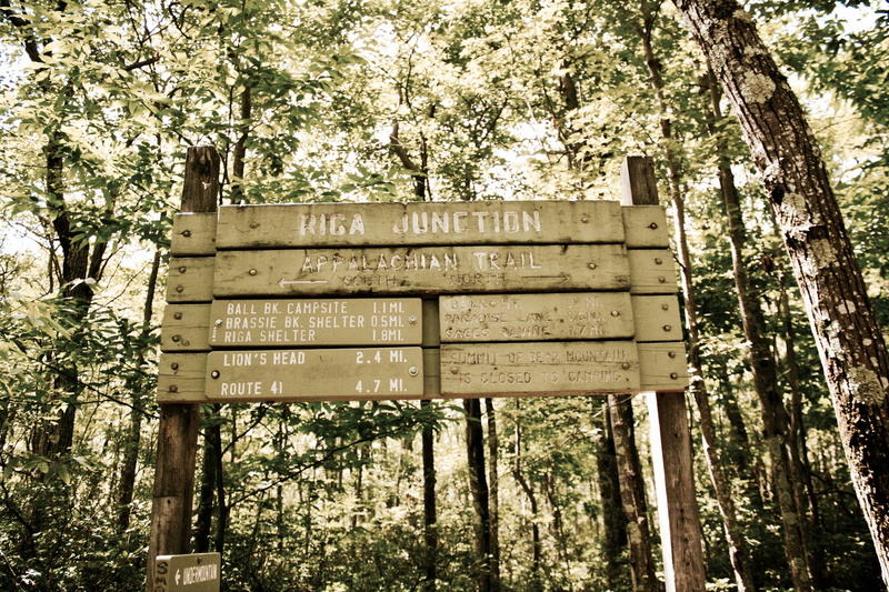 built structure, architecture, appalachian trail, salisbury, sign, wood - material, trunk, low angle view, land, communication, day, no people, 4K, united states
