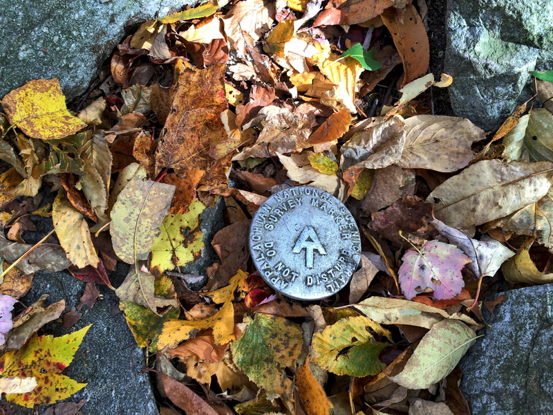 footpath, land, Landscape, day, fragility, natural condition, falling, fall, solid, high angle view, clock, plant part, Hiking, backpacking, rock, directly above