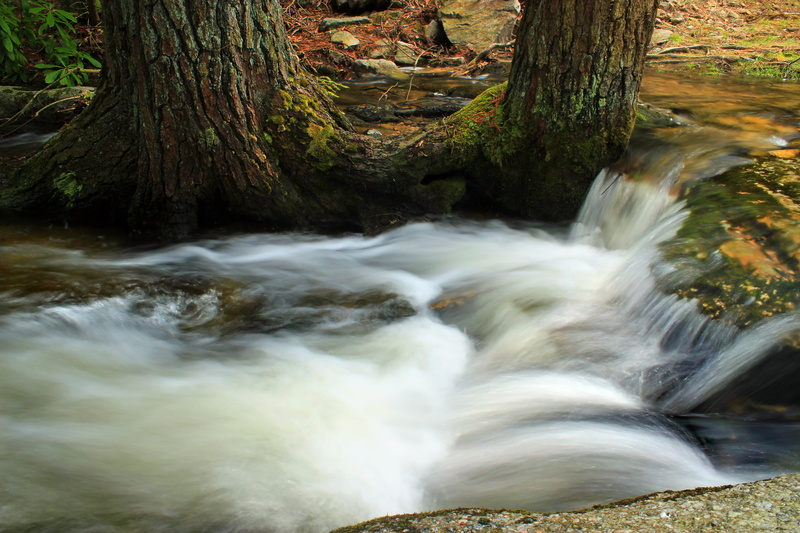 river, SGL, Pennsylvania, eastern hemlocks, flowing Water, timelapse, beauty In Nature, waterfall, Run, tree, Carbon County, 5K, rocks, leaf, creek, Gorge