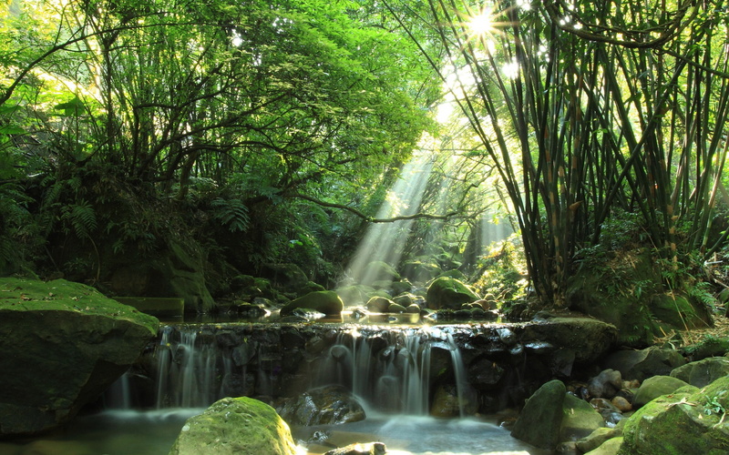 Waterfall, Rocks, River, Sun, Rays, Forest, Moss, 1080P