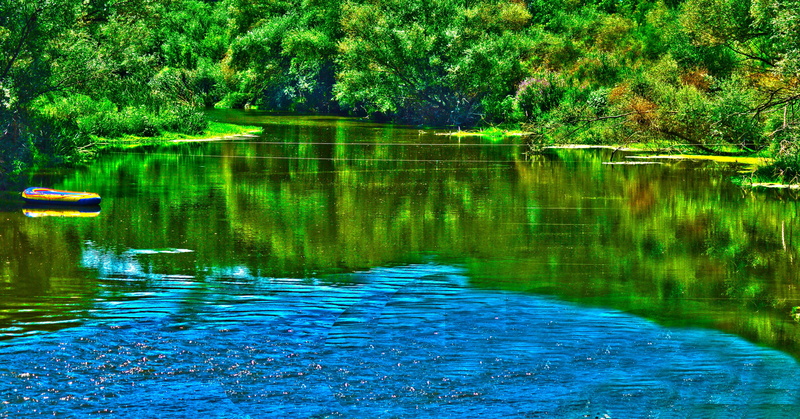 scenics - nature, lake, forest, reflection, day, nature, no people, dd, beauty in nature, rippled, growth, outdoors, tranquility, 5K, water, idyllic, green color