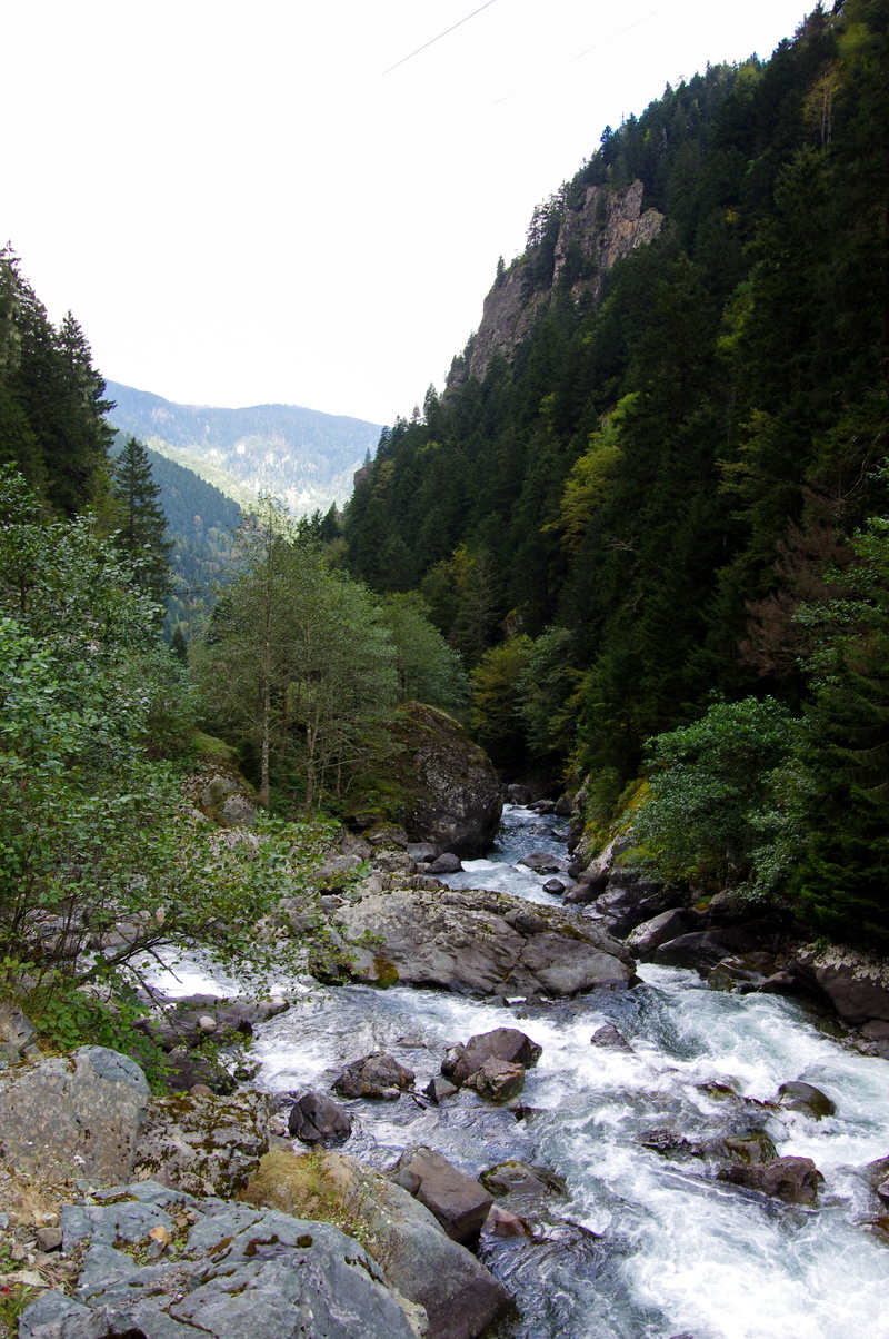 solid, land, valley, mountain, beauty in nature, flowing, flowing water, trees, green, air, river, growth, 4K, rock - object, spring, plant, rize, sky