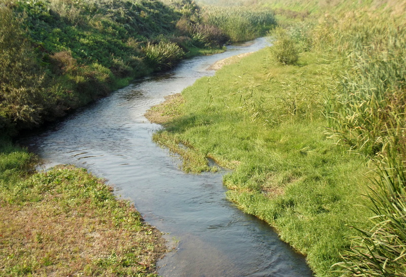 river, 4K, village, no people, highland, growth, turkey, outdoors, stream - flowing water, tranquility, dd, trail, trees, grass, high angle view, landscape