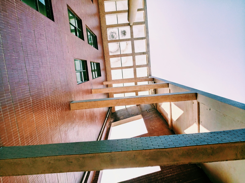 window, residential district, nature, steps and staircases, seat, staircase, building exterior, dd, built structure, building, wood - material, low angle view