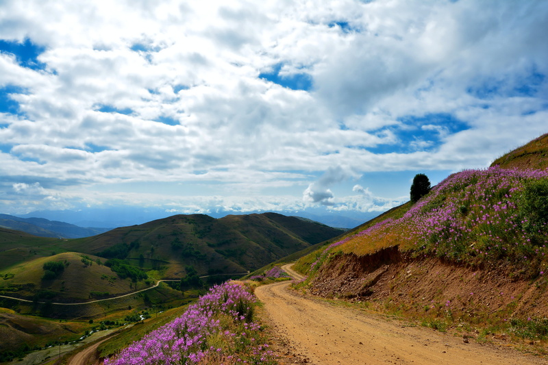 lake, holiday, blue, flowering plant, day, beautiful, tranquility, white clouds, no people, background, grassland, rize, peace, mountains, scenics - nature