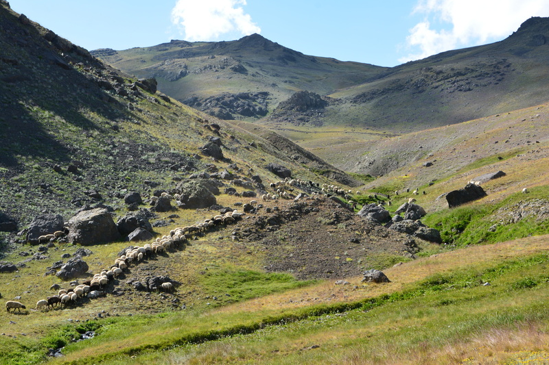rocks, unbelievable, natur, no people, environmental, summer, spring flowers, scenics - nature, land, mountains, 5K, kaçkars, background, natural life