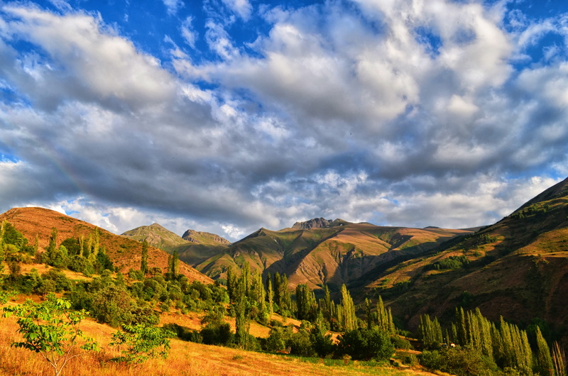 tranquility, black sea, photo, tree, panoramic, high, grassland, semi-arid, natur, day, rocks, highland, taylor, green, landscape, environment