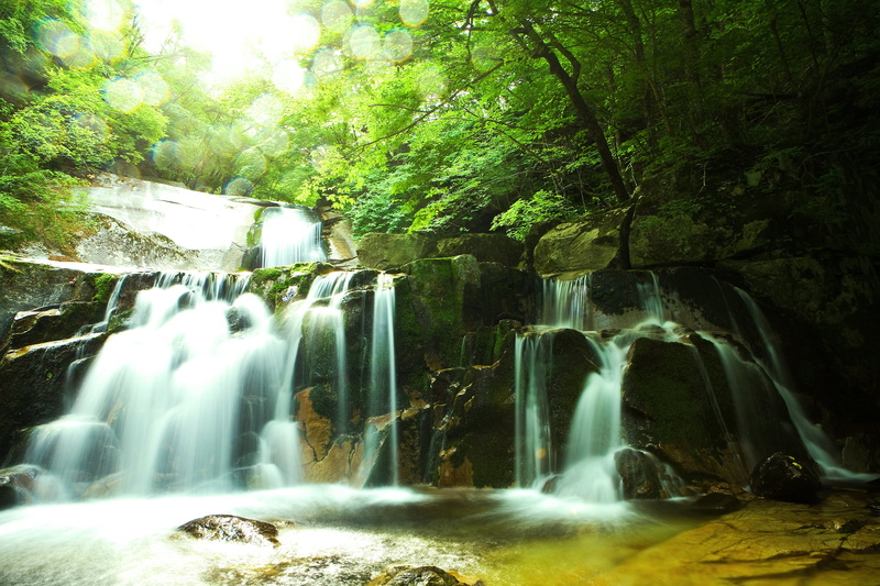 green, splashing, shaggy, waterfall, long exposure, flowing water, power in nature, scenics - nature, beauty in nature, forest, river, landscape, falling water