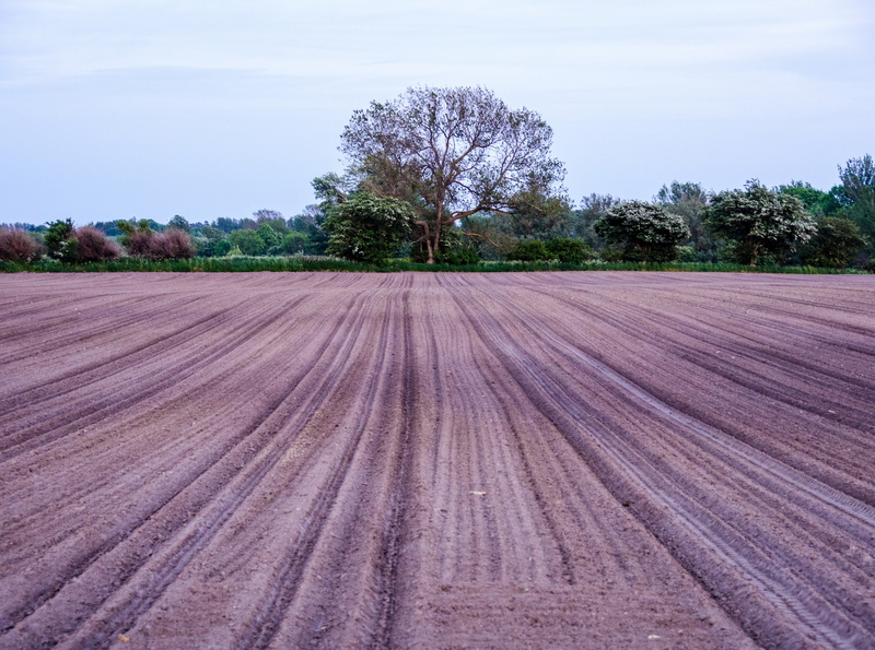 Denmark, plant, landscape, agerup, sky, Earth, arid climate, agriculture, Europe, Central, Field, midtjylland, cloud - sky, Farm, 4K, region, danmark