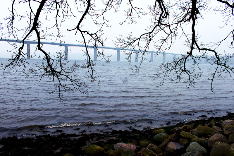 scenics - nature, beauty in nature, 4K, plant, danmark, bare tree, bridge, stones, idyllic, vejle, no people, outdoors, non-urban scene, nature, tranquil scene