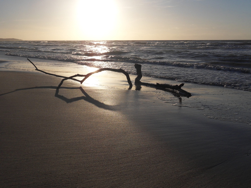 water, Sea, 2K, tranquil scene, motion, Sundown, tranquility, wave, sky, outdoors, sand, sunlight, beauty in nature, land, sun, sunset, silhouette, horizon over water