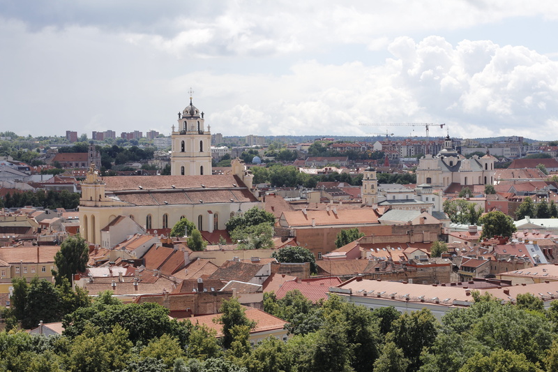 building exterior, famous Place, sky, plant, town, 5K, roof, Vilnius, building, historically, high angle view, outdoors, built structure, nature, architecture