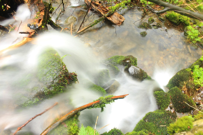 beauty in nature, cieszyn silesia, plant, motion, trough, czechia, creek, waterfall, silesia, may, czech cieszyn, 5K, forest, tree, rainforest, kompařov