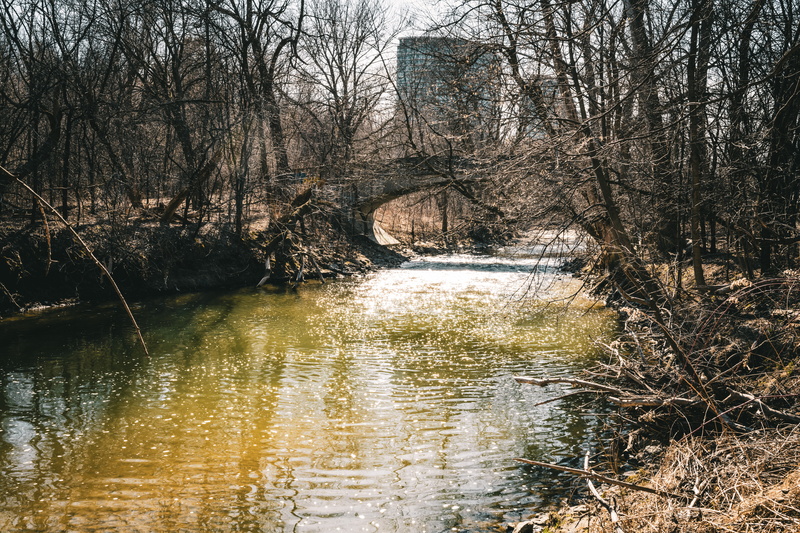 forest, canal, bird, castle, swamp, scenics - nature, waterfront, river, water, waterfowl, nature, 8K, non-urban scene, building, tranquility, stream