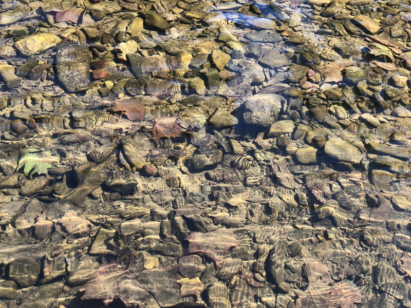 ripple, nature, outdoors, river, creek, no people, textured, tranquility, rock, water, high angle view, full frame, stone, united states, new castle, pebble