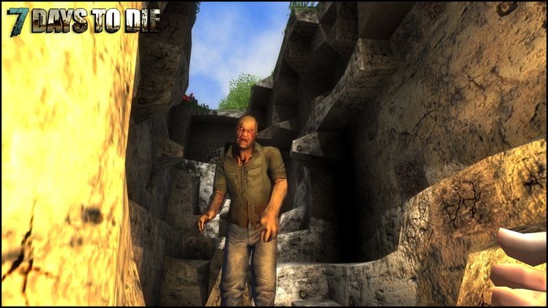 1080P, 7 Days to die, Video Game