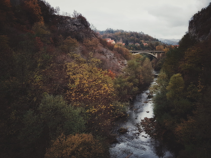 tranquil scene, near, tranquility, river, dirt road, day, change, brown, growth, 2K, road, vegetation, serbia, tree, trees, land, non-urban scene, bridge