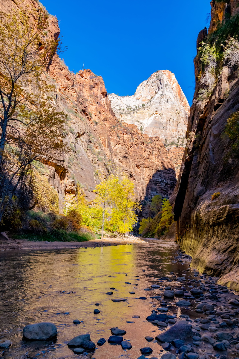 mountain, flowing, rocks, rock formation, flowing water, canyon, tranquil scene, formation, fir, waterfront, nature, wilderness, day, non-urban scene, zion national park