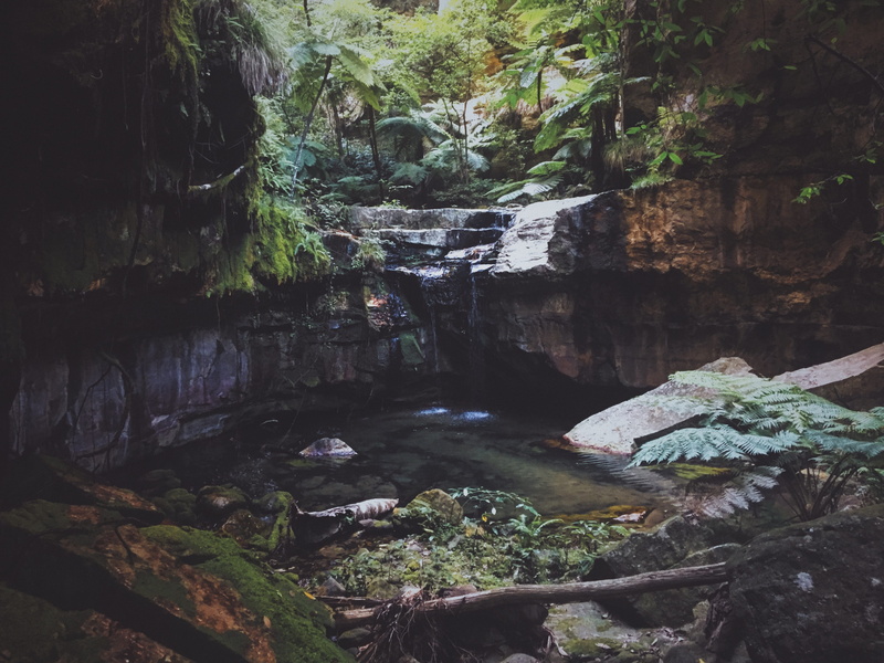 nature, beauty in nature, flowing, eroded, water, flowing water, wet, rock - object, creek, solid, moss, scenics - nature, reflecting, rock, waterfall