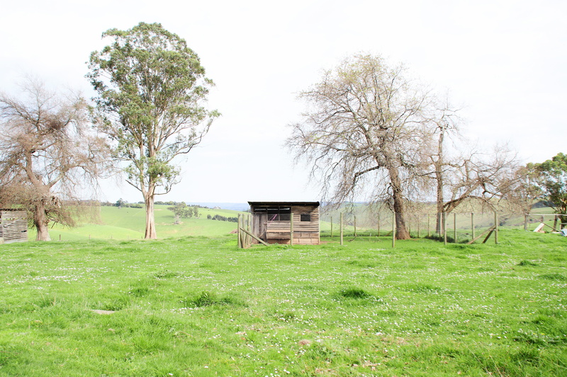 outdoors, blue, grass, no people, 5K, farmhouse, vintage, environment, beauty in nature, old, mountain, eucalyptus, green color, summer, sky, plain, built structure