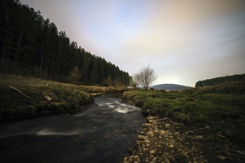 beauty in nature, flowing, tranquility, tree, environment, bulgaria, water, fir, conifer, mountain, scenics - nature, idyllic, stream, unnamed road, trees