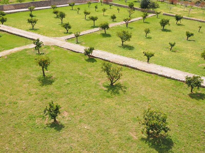 estate, bunyola, nature, 4K, raixa, growth, orange grove, environment, water, grass, scenics - nature, estate raixa, plant, outdoors, field, high angle view