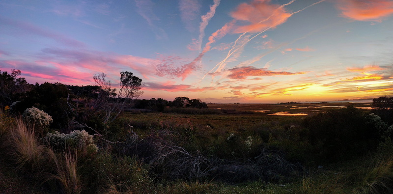 scenics - nature, bay, marsh, assateague island, field, plant, no people, seashore, tranquil scene, orange color, grass, environment, cloud - sky, 2K