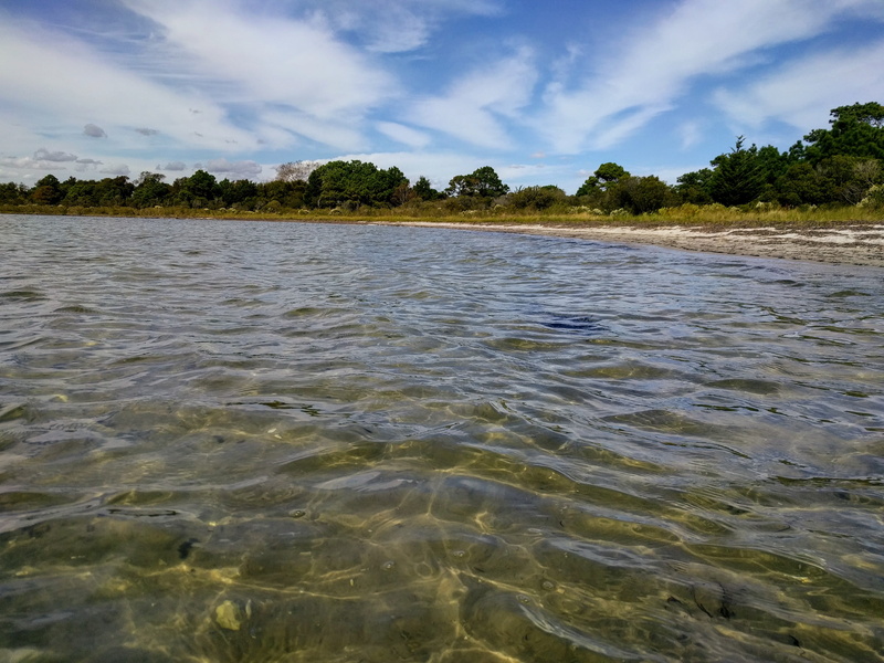 sky, waterfront, nature, water, beauty in nature, non-urban scene, scenics - nature, beach, plant, tree, bay, assateague island, 4K, land, day, no people