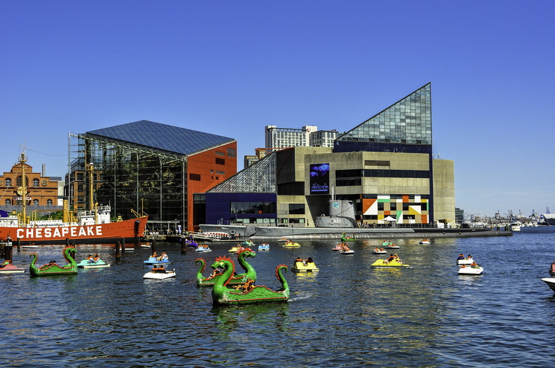 national, 4K, nature, Maryland, travel Destinations, building, clear sky, group of people, waterfront, Baltimore, national aquarium, transportation, harbor