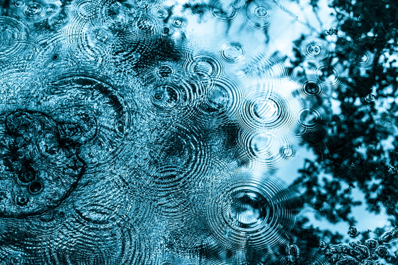 full frame, shape, close-up, nature, green, drop, geometric shape, raindrop, mirroring, water, droplets, rings, body, day, rain, wet, concentric