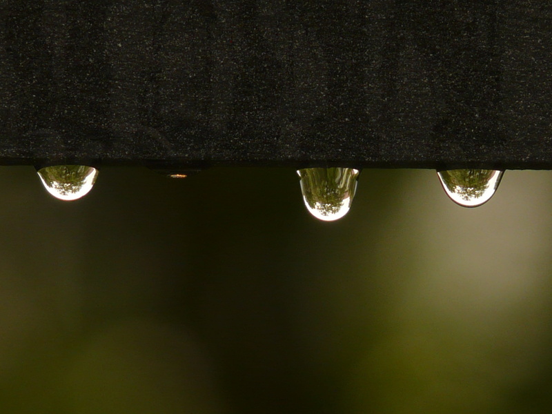 2K, Drip, dark, electricity, beauty in nature, surface tension, hanging, lighting equipment, roof, architecture, night, Wet, Raindrop, tree, illuminated