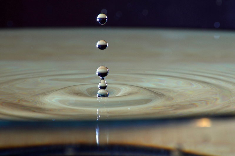 freshness, close-up, dew, nature, outdoors, macro, body, no people, selective focus, rippled, splashing, mid-air, drip, transparent, body of water, purity