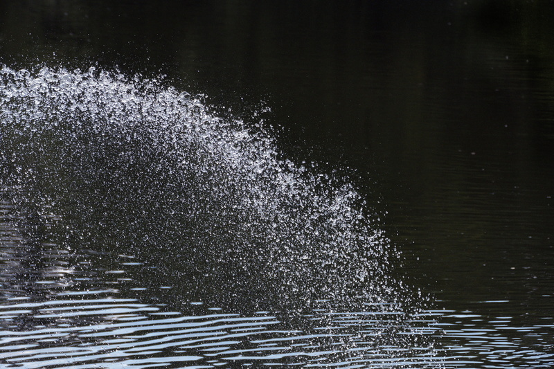 splashing, no people, motion, reflection, rippled, flowing water, focus on foreground, fountain, wave, beauty in nature, flowing, tranquility, water jet