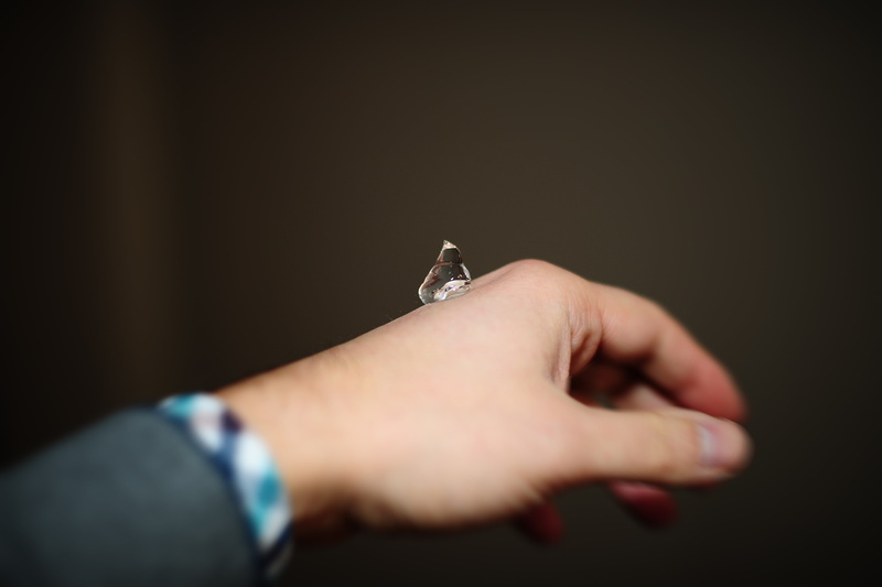 selective focus, animal wildlife, aromatherapy, jewelry, studio shot, hydrolatherapie, bottle, gel, hand, ring, close-up, people, 5K, animals in the wild