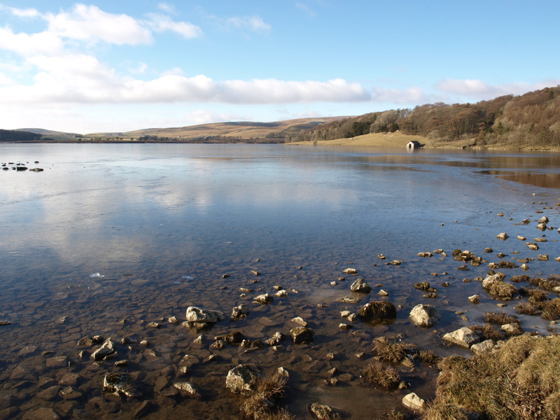 day, tranquil scene, tarn, england, non-urban scene, vertebrate, tranquility, countryside, no people, animal themes, water, mountain, pebbles, beauty in nature