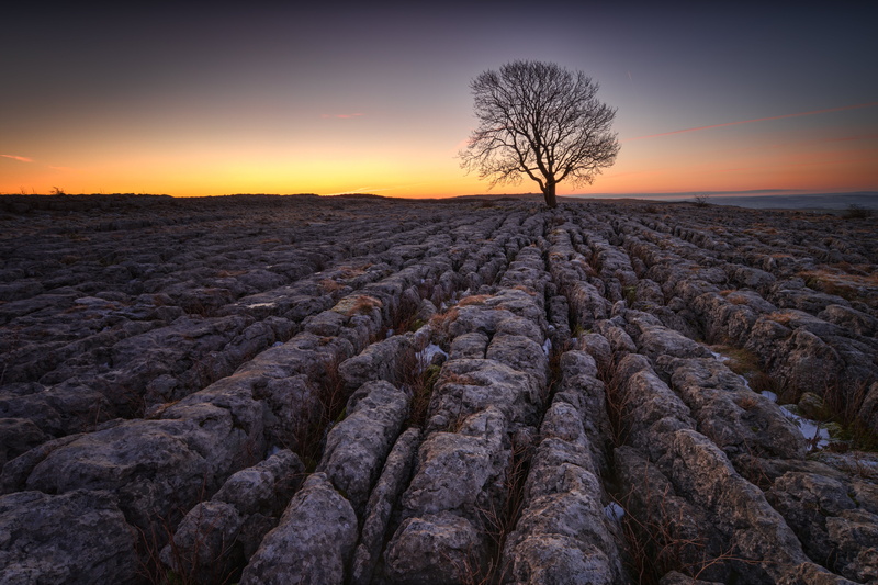 black, Malham, landscape, sunset, jones, twig, yorkshire  dales, rack, Tree, sunrise, samsung  NX1, outdoors, brown, sun, nature, 5K, lime  stone