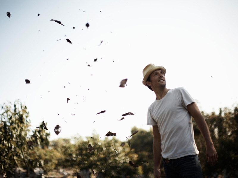guy, neck, t, men, singer, white, s, crew, shirt, 720P, jason mraz, look to the sky, falling leaves