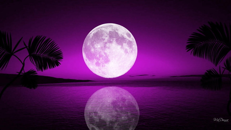 palm tree, reflection, 1080P, moom, full moon, tranquility, tranquil scene, water, purple, color, sphere, sea, scenics - nature, dream, beauty in nature