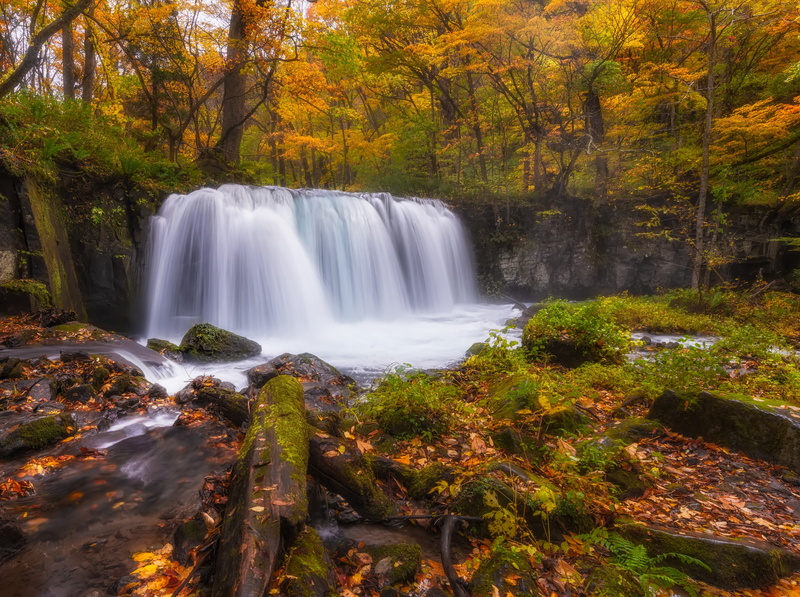 outdoors, Falls, 5K, Travel, power in nature, Water, long exposure, Gorge, plant, towada, tree, aomoriprefecture, stream - flowing water, falling water