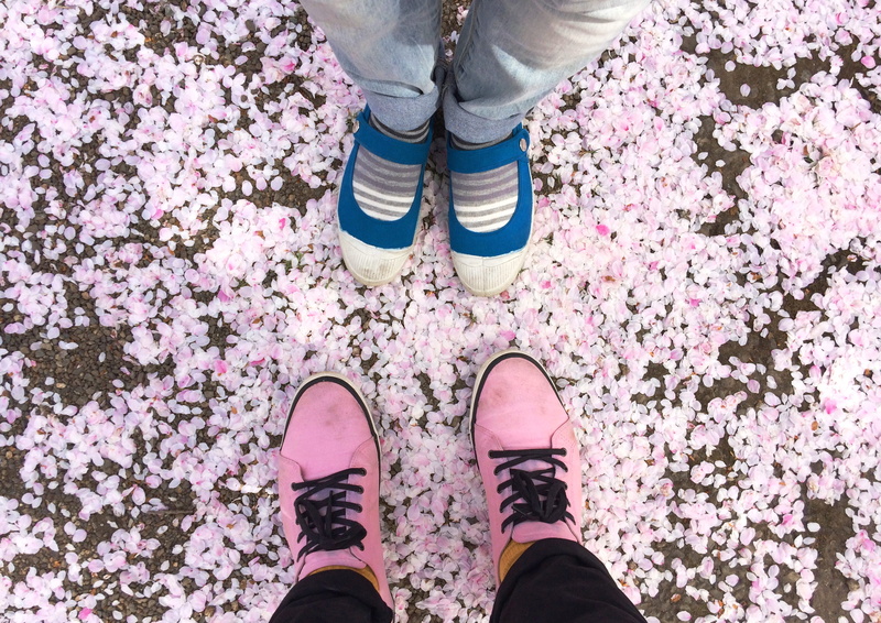 blue, human body part, flowering plant, japan, directly above, purple, pink color, human foot, pair, one person, personal perspective, 2K, human leg, travel