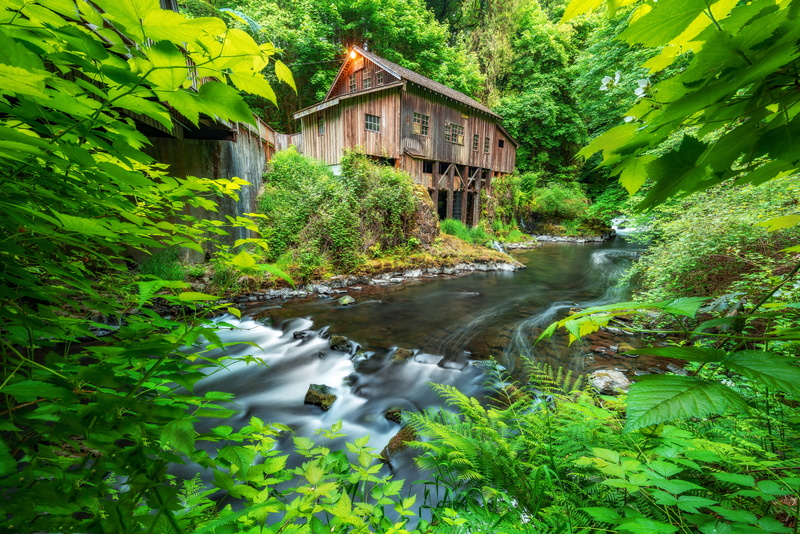 river, built structure, wooden, landscape, beside, brown, scenics - nature, plant, motion, nature, building exterior, woodland, flora, cottage, mill house