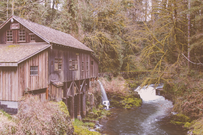 built structure, plant, cottage, river, rural, architecture, wood - material, no people, 4K, housing, tree, shack, stream, land, day, forest, shelter