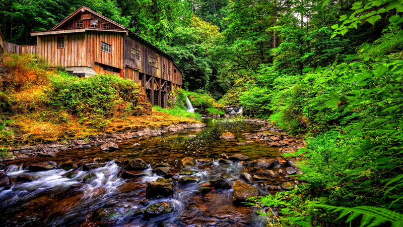 creek, mill, cedar, background, grist, 2K, desktop