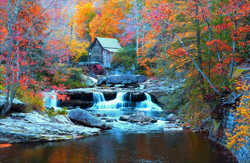 power in nature, USA, flowing, motion, stream - flowing water, water, rainforest, plant, architecture, trees, no people, waterfall, forest, long exposure