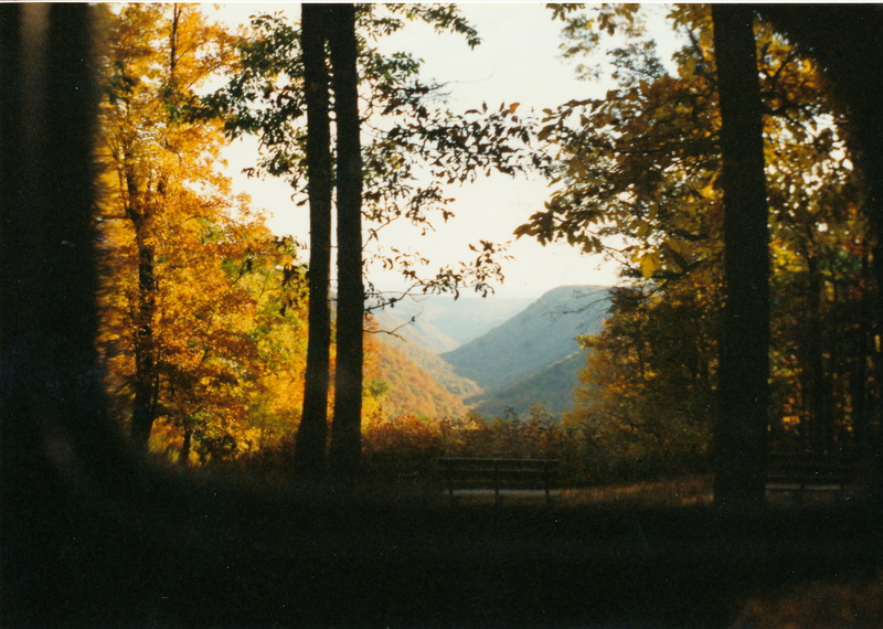 west virgina, environment, tree, overlook, autumn, mountain, no people, land, tranquil scene, idyllic, united states, nature, 2K, fall, non-urban scene