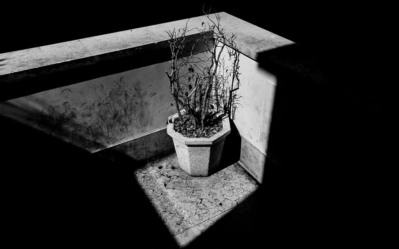 water, 5K, railing, bw, pottery, architecture, plant, blackandwhite, street, concrete, absence, no people, handrail, potted plant, bridge, built structure