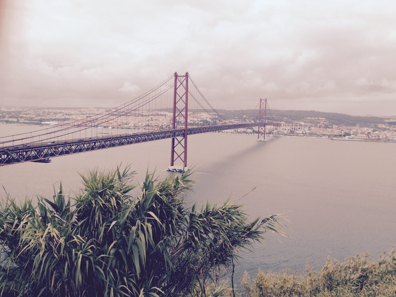 plant, suspension bridge, architecture, outdoors, bridge - man made structure, built structure, lisboa, ponte 25 de abril, lisbon, city, tourism, cloud - sky