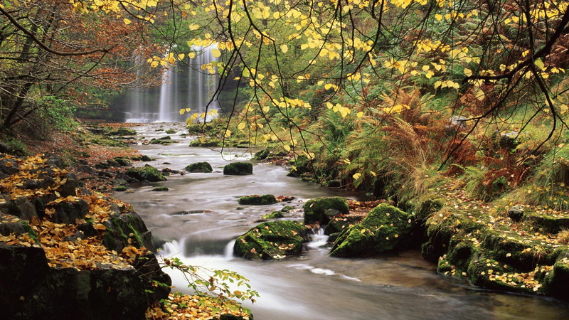 yr, 1080P, eira, wales, rocks, stream, sgwd, waterfalls, forest, nature and landscapes