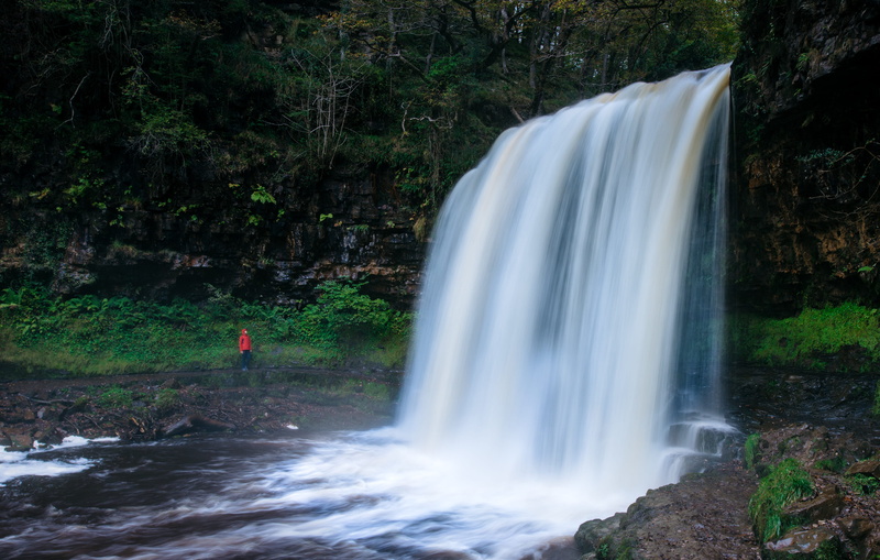 beauty in nature, water, forest, plant, standing, waterfall, falling water, adventure, falling, splashing, flowing, blurred motion, 4K, land, flowing water